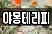야몽테라피