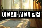 아울스파 서울시청점