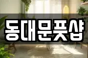 동대문풋샵