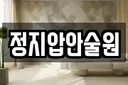 정지압안술원