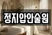 정지압안술원