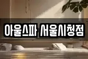 아울스파 서울시청점