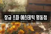 장금 스파 에스테틱 명동점