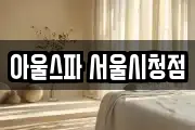 아울스파 서울시청점