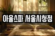 아울스파 서울시청점