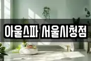 아울스파 서울시청점