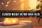 온고테라피 통증관리 바디케어 마사지 종로점