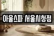 아울스파 서울시청점