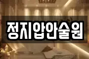 정지압안술원
