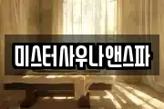 미스터사우나앤스파