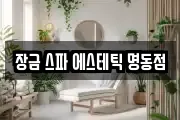 서울특별시 중구 을지로2가 마사지, 지압등 업체정보