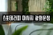 스포테라피 마사지 광화문점