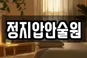 정지압안술원