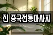 진 중국전통마사지