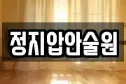 정지압안술원