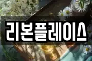 리본플레이스