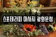 스포테라피 마사지 광화문점
