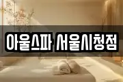 아울스파 서울시청점