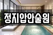 정지압안술원