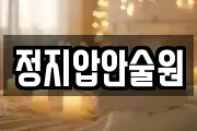 정지압안술원