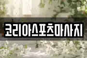 코리아스포츠마사지