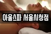 아울스파 서울시청점