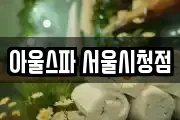 아울스파 서울시청점