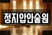 정지압안술원
