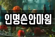인명손안마원