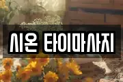 시온 타이마사지