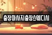 출장마사지출장스웨디시