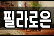 필라로은