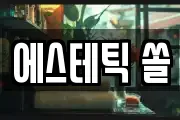 에스테틱 쏠