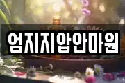 엄지지압안마원