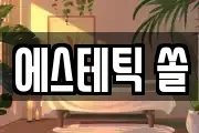 에스테틱 쏠