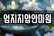 엄지지압안마원