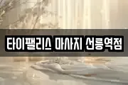 타이팰리스 마사지 선릉역점