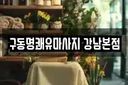 서울 강남구 논현동 마사지, 지압등 업체정보