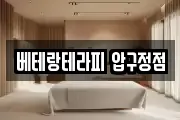 베테랑테라피 압구정점