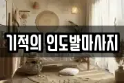 서울 강남구 도곡동 마사지, 지압등 업체정보