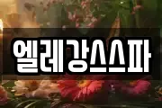 엘레강스스파