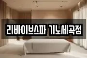 리바이브스파 기노세곡점