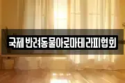 국제반려동물아로마테라피협회
