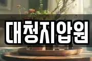 대청지압원