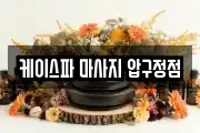 케이스파 마사지 압구정점