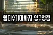 월디수기마사지 압구정점