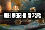 베테랑테라피 압구정점