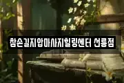 서울 강남구 마사지, 지압등 업체정보
