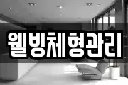 웰빙체형관리