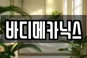 바디메카닉스
